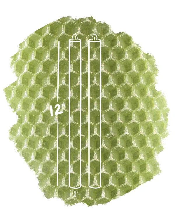 5dz21omdp1a