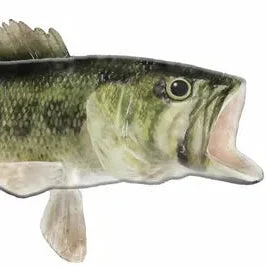ouackvhkhjr