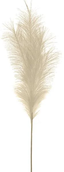 wflwo2aunfx